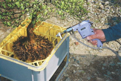 根洗いは盆栽・水石用スプレーガン使用例